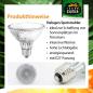 Preview: Terra Exotica Halogen Sunspot - Halogen Spotstrahler - 35 Watt